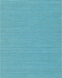 Chiyo Sisal WNR2114 WT Turquoise by   