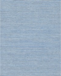 Chiyo Sisal WNR2129 WT Aquamarine by   