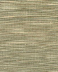 Solo Sisal WNW2233 WT Cool Sprig by   