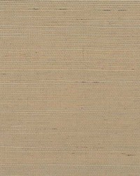 Solo Sisal WNW2234 WT Limestone by   