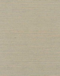 Solo Sisal WNW2238 WT Placid by   