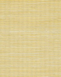 Metallic Sisal WSS4520 WT Glistening Ore by   