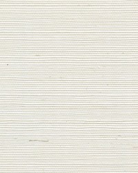 Sisal WSS4535 WT Chalk by   