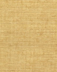 Sisal WSS4536 WT Brush by  Winfield Thybony Design 