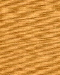 Sisal WSS4542 WT Honey by   