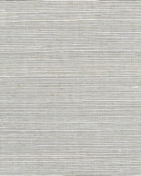 Sisal WSS4568 WT Oyster by   