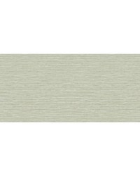 GRASSCLOTH TEXTURE WTK15304 WT SPRING by   