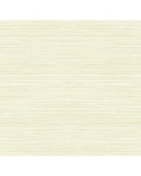 GRASSCLOTH TEXTURE WTK15305 WT SHELL by   