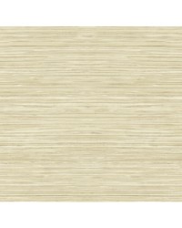 GRASSCLOTH TEXTURE WTK15307 WT SANDY by   