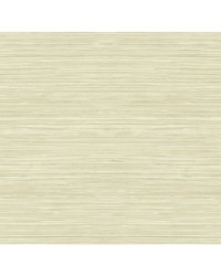 GRASSCLOTH TEXTURE WTK15315 WT GRAVEL by   