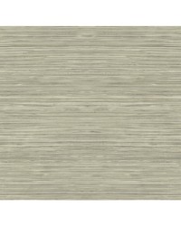 GRASSCLOTH TEXTURE WTK15316 WT TAUPE by   