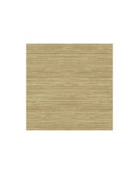 GRASSCLOTH TEXTURE WTK15325 WT DESSERT by   