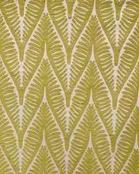 Myers Green by  Magnolia Fabrics  