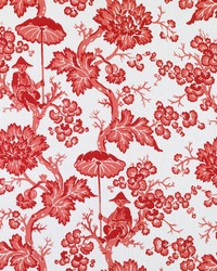 Paradise Toile Pomegranate by   