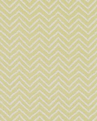 Fiore Chevron Wasabi by  Bailey and Griffin 