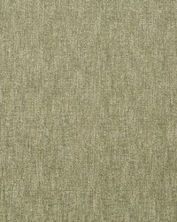 Tonal Chenille Moss by   