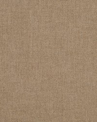 Hazy Hatch Taupe by   