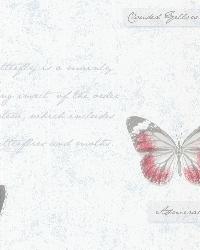 Admiral Blue Butterflies and Script by   