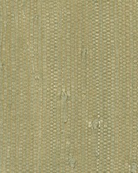 Martina Beige Grasscloth by   