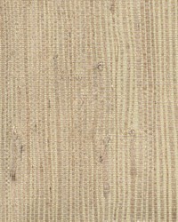 Kostya Beige Grasscloth by   