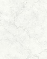 Innuendo White Marble Wallpaper by   