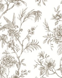 Jessamine Taupe Floral Trail Wallpaper by   