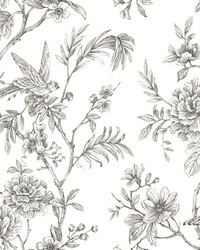 Jessamine Grey Floral Trail Wallpaper by   