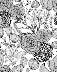 Alannah Black Botanical Wallpaper by   
