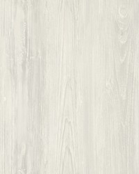 Mapleton Light Grey Wood Wallpaper by   