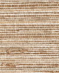 Kaziko Khaki Grasscloth by  Brewster Wallcovering 