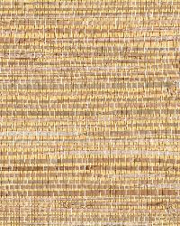 Mayu Taupe Grasscloth by  Brewster Wallcovering 