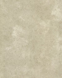 Palladium Olive Marble Texture by  Brewster Wallcovering 