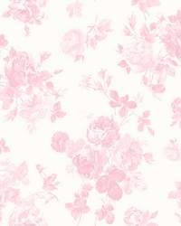 Everblooming Rosettes Pink Jam Cabbage Rose Bouquets Wallpaper AST4101 by   