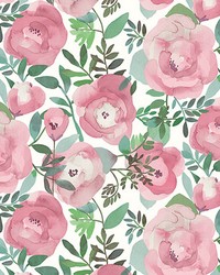 Blooming Floral Darling Pink Wall Mural ASTM3905 by  Brewster Wallcovering 