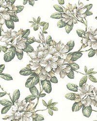 Bree Ivory Lily Trail by  Brewster Wallcovering 