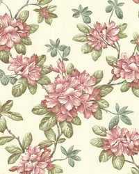 Bree Rose Lily Trail by  Brewster Wallcovering 