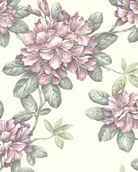 Bree Blush Lily Trail by  Brewster Wallcovering 