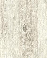 Mapleton Beach Faux Wood Texture by   