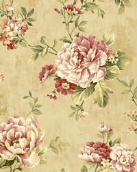 Coralie Rose Peony Trail by  Brewster Wallcovering 