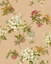 Silana Rose Dogwood Trail by  Brewster Wallcovering 