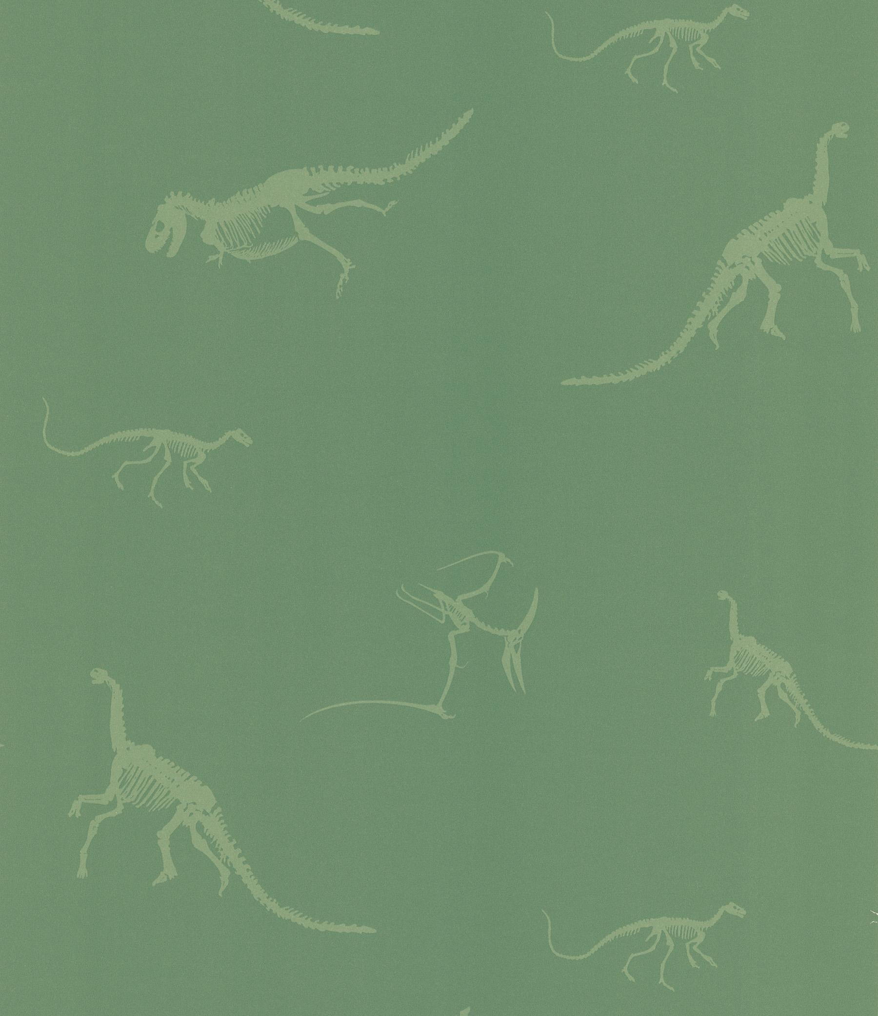 Brewster Wallcovering Prehistoric Green Dinosaur Bones Wallpaper