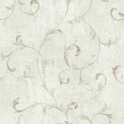 Brewster Wallcovering Avellino Taupe Scroll Wallpaper