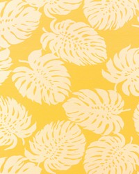 Greenhouse A8033 by  Greenhouse Fabrics 