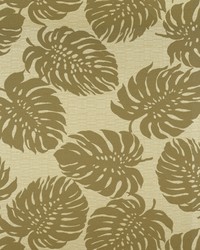 Greenhouse A8059 by  Greenhouse Fabrics 