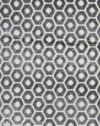 Greenhouse F2181 by  Greenhouse Fabrics 