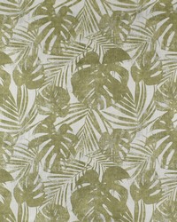 Greenhouse F2814 by  Greenhouse Fabrics 