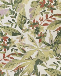 Greenhouse F3000 by  Greenhouse Fabrics 