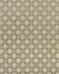 Greenhouse F3160 by  Greenhouse Fabrics 