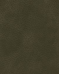 Greenhouse F3835 by  Greenhouse Fabrics 