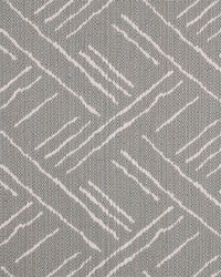 Greenhouse F4813 by  Greenhouse Fabrics 